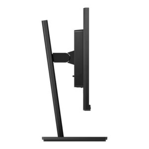 Philips Monitor 242S1AE 23.8 IPS DVI HDMI DP Pivot