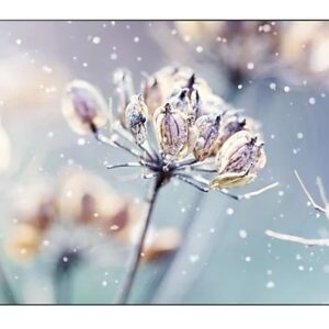 Samsung Monitor profesjonalny VM46B-U 46 cali Video wall Matowy 24h/7 500(cd/m2) 1920 x 1080(FHD) N/A  3 lata d2d (LH46VMBUBGBXEN)