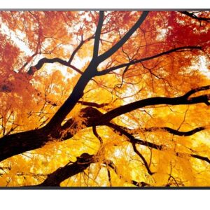 Sharp Monitor wielkoformatowy MultiSync M502 50 cali 550cd/m2 24/7