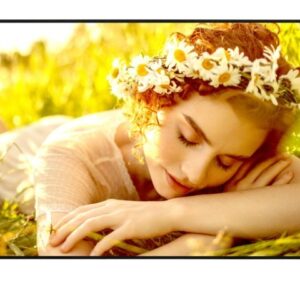 LG Electronics Monitor wielkoformatowy 65UL5Q-E 500cd/m2 UHD 24/7
